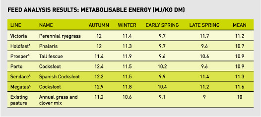 Megatas graph